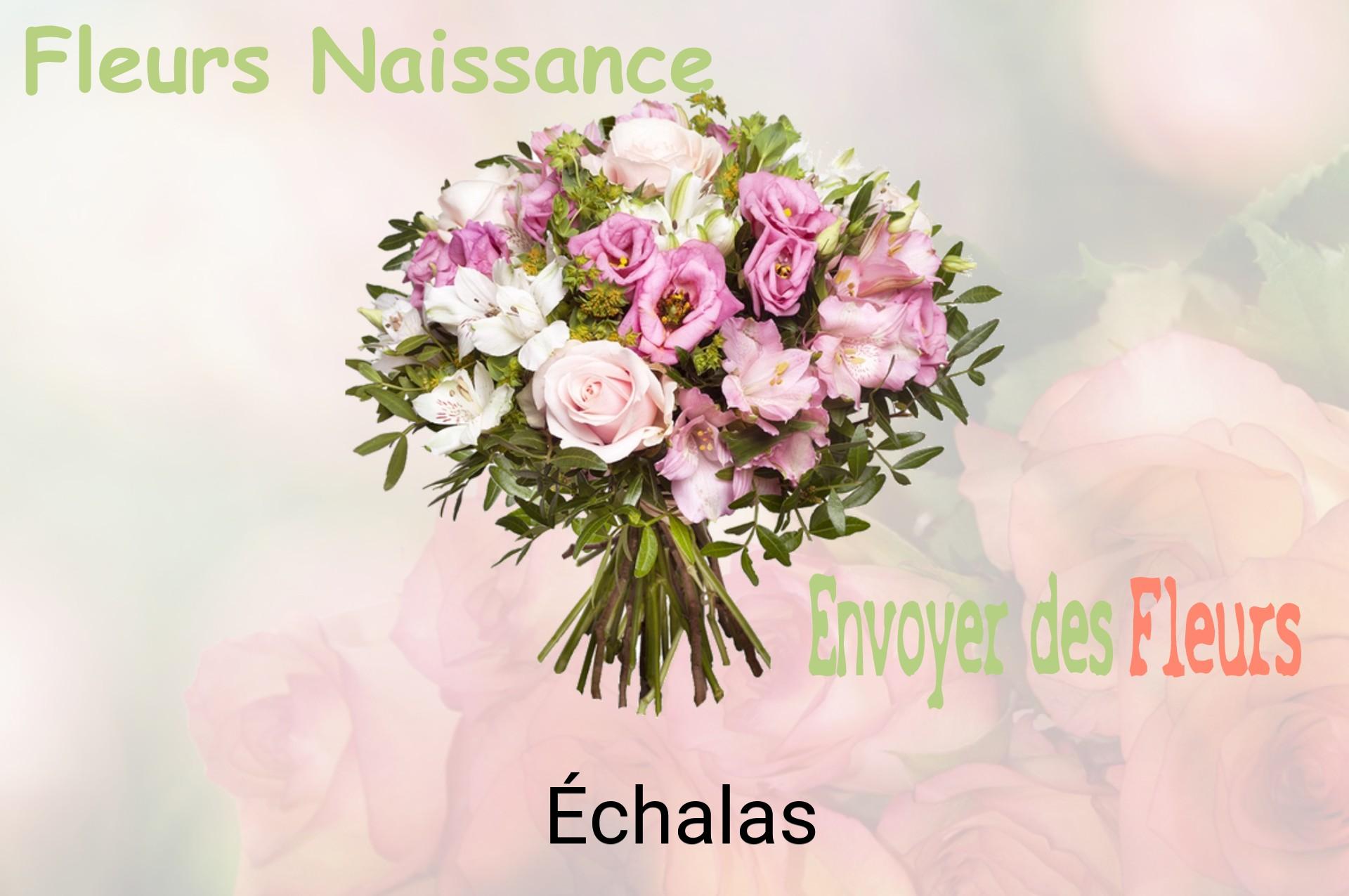 Bouquet de fleurs de naissance livré à Échalas